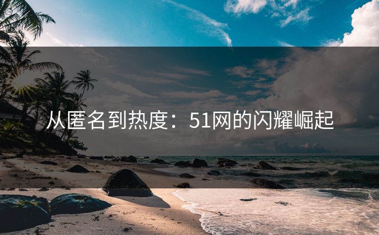 从匿名到热度：51网的闪耀崛起  第1张